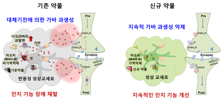 치매치료제, 기존 약물 한계 극복할 열쇠 찾았다