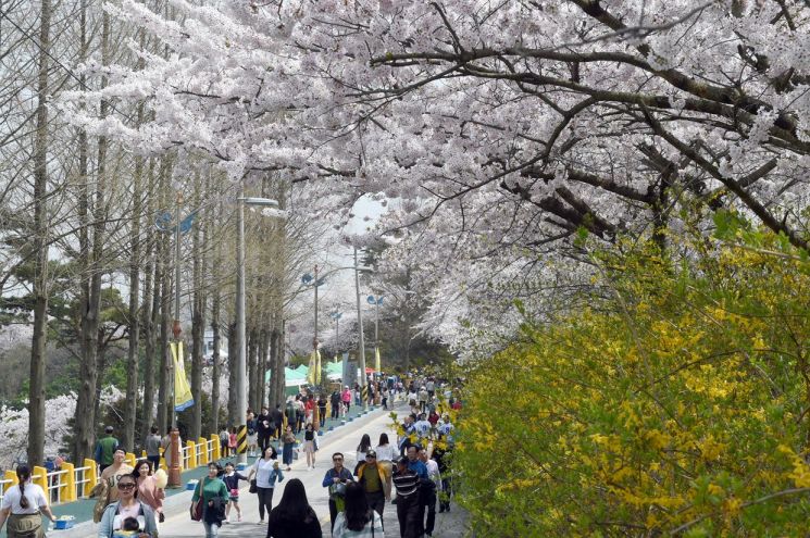 목포시, 내달 6일부터 유달산 봄 축제 개최