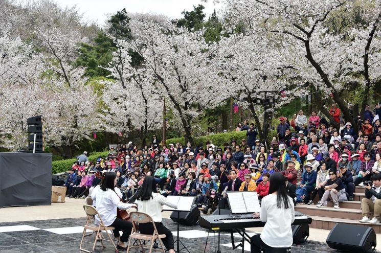 서대문구 안산(鞍山)서 벚꽃·음악 만끽하며 봄나들이 