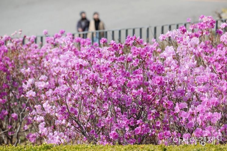[포토]'천천히 걸으면 봄이 보여요'