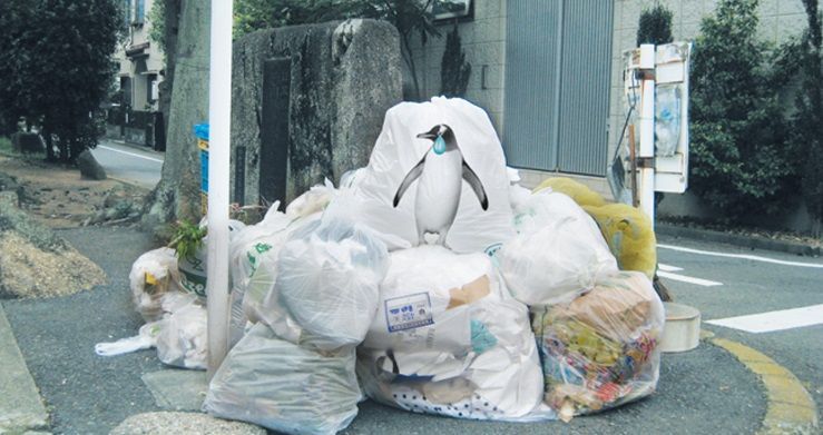 도심에 나타난 펭귄. 쓰레기봉투 하나로 도시의 분위기가 달라졌습니다. [사진=MAQ]