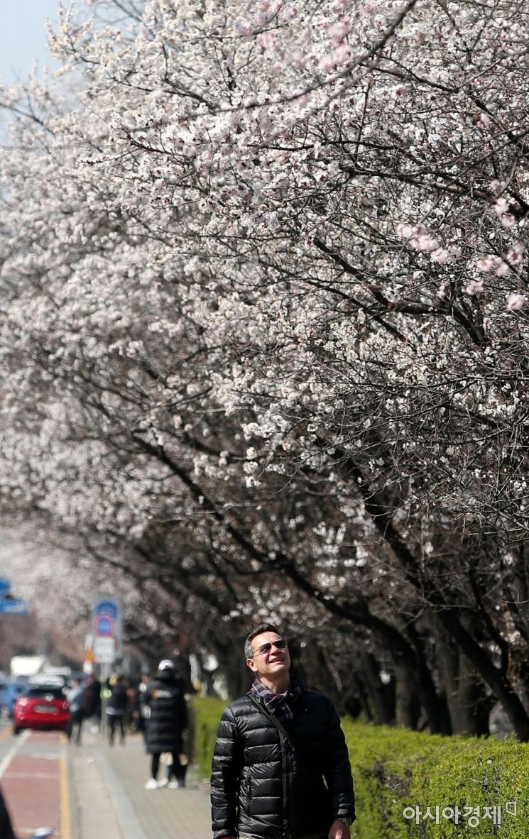 [포토] '봄이 왔어요'