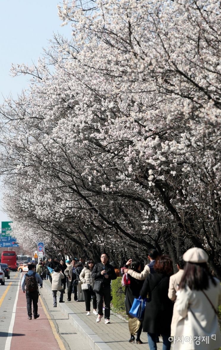 [포토] 서울의 봄