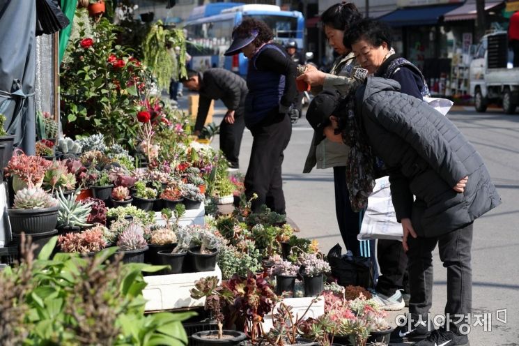 [포토]식목일 앞두고 종로꽃시장 찾은 시민들