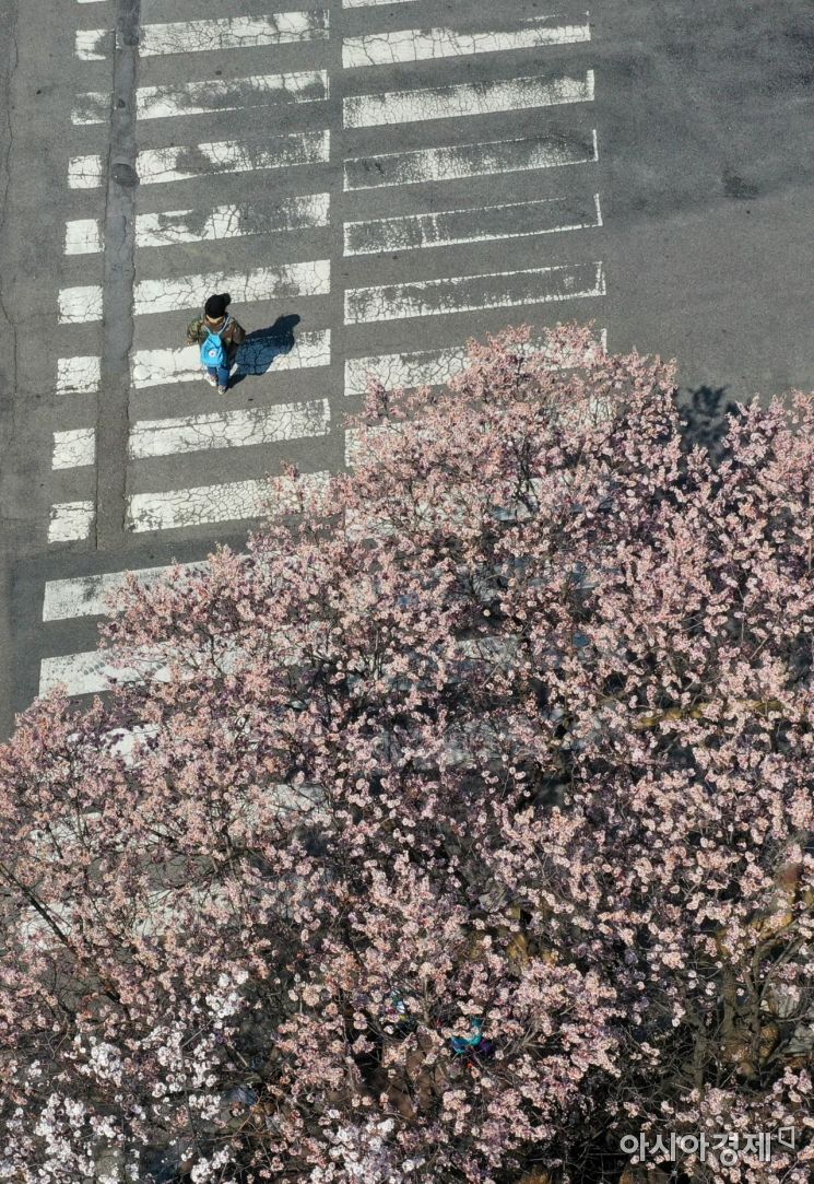 [포토]봄꽃 아래