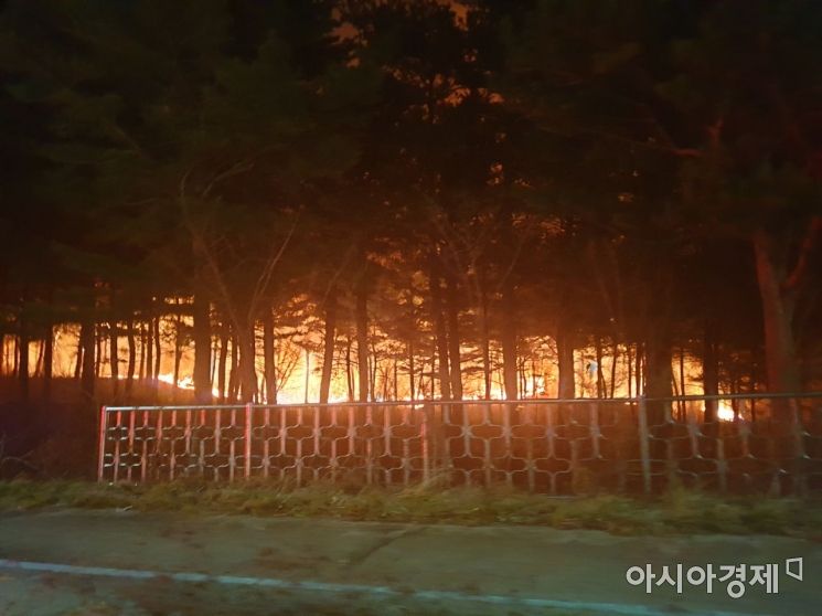 '강원 동해안 산불' 진화에 헬기 59대·1만4410명 투입…385㏊ 피해