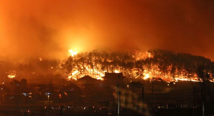 5일 강원 강릉 옥계에서 발생한 산불이 강풍을 타고 번져 동해시 주택가까지 위협하고 있다. (사진=동해소방서)