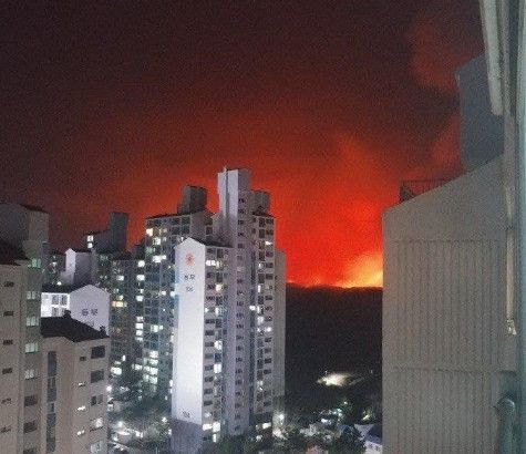 4일 강원도 고성에서 발생한 산불이 아파트가 밀집한 일대까지 번지고 있다. 사진=트위터(@ding****) 캡처