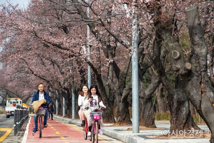 [포토]봄의 정취 만끽하는 관광객들