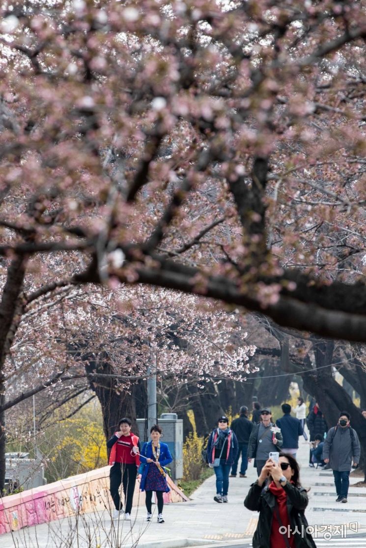 [포토]여의도 벚꽃축제 시작