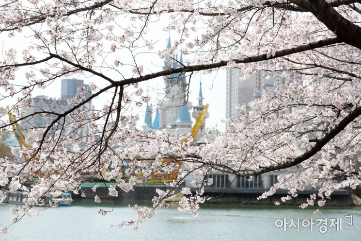 봄 나들이 졸음운전 주의보…"오후 2시부터 4시까지 주의하세요"