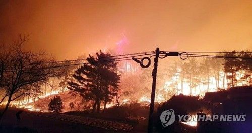 삼성, 강원 산불 피해 지역에 의료진 파견…성금·구호키트도 지원