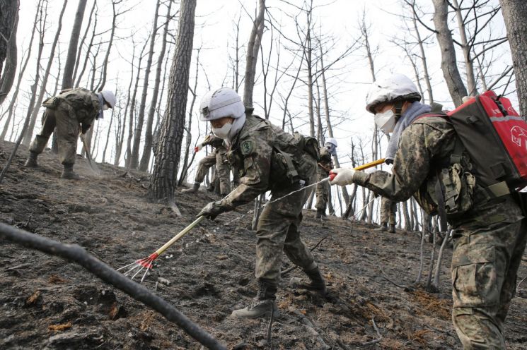 육군 장병들이 지난 6일 강릉시 옥계면 산불 지역에서 잔불 제거 작전을 펼치고 있다. (사진=연합뉴스)