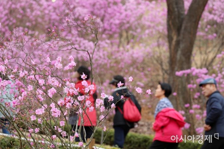 [포토]'꽃길만 걷자'