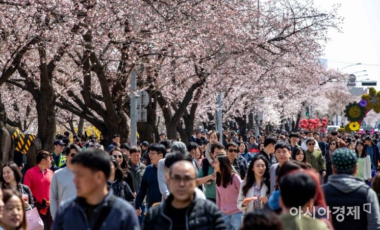 [포토] 여의도 벚꽃축제 인파