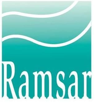해수부 "람사르 습지도시 후보지를 찾습니다"