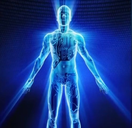 인체의 신경조직은 온 몸을 연결하는 전기회로와 같다고 할 수 있습니다. [사진=유튜브 화면캡처]