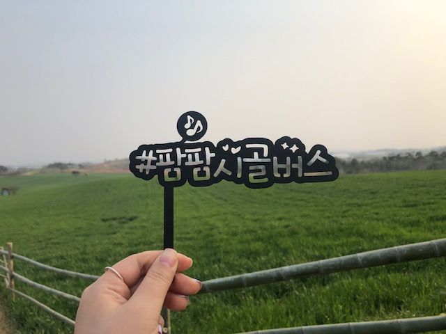 고창군, 테마형 시티투어 ‘팜팜시골버스’ 본격 운행