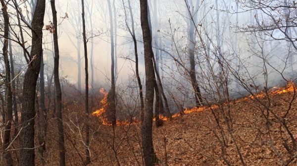 "산불 복구예산 반영 안돼"…3.6兆 적자국채 더 늘어날수도