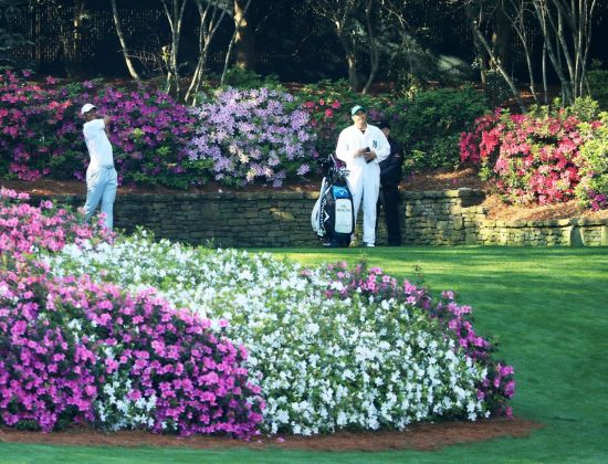 마스터스 관전하기 "최고의 명당은 어디?"