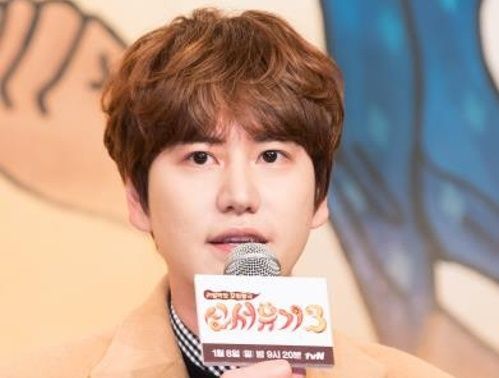 슈퍼주니어 멤버 규현 / 사진=tvN