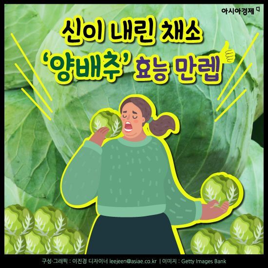 [카드뉴스]신이 내린 채소 ‘양배추’ 효능 만렙