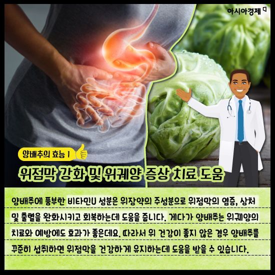 [카드뉴스]신이 내린 채소 ‘양배추’ 효능 만렙