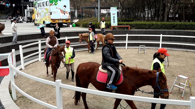 성동구 왕십리광장서 무료 승마체험