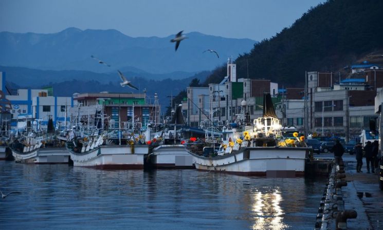 수산 보조금을 지역축제 행사비로…총 138건 위반사항 적발