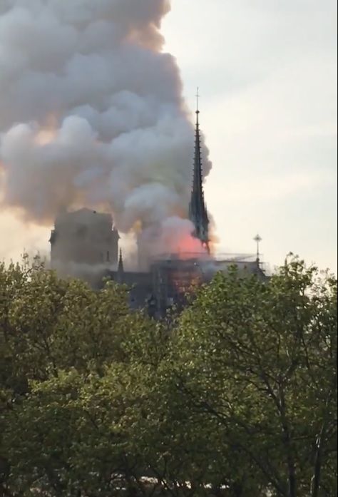 파리 노트르담 대성당, 화재로 전소 위기