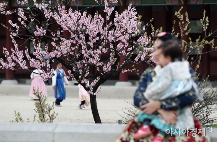 [포토]아직 봄, 즐겨봄!