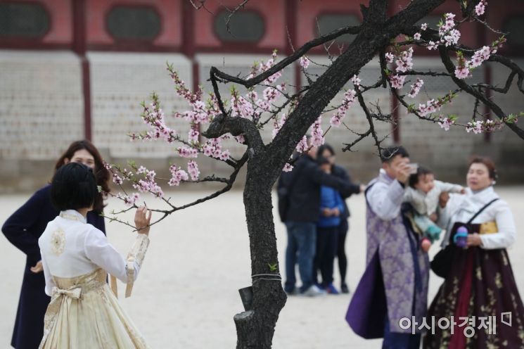 [포토]희미해지는 봄