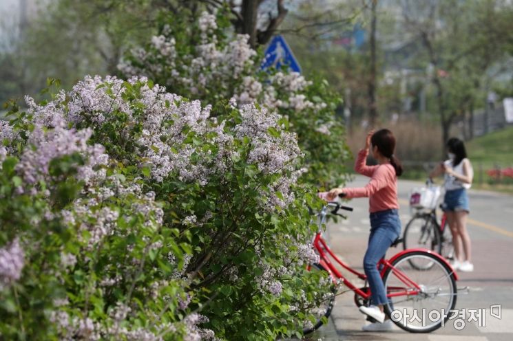 초여름 날씨를 보인 24일 서울 여의도 한강공원을 찾은 시민들이 자전거를 타며 더위를 식히고 있다. / 문호남 기자 munonam@