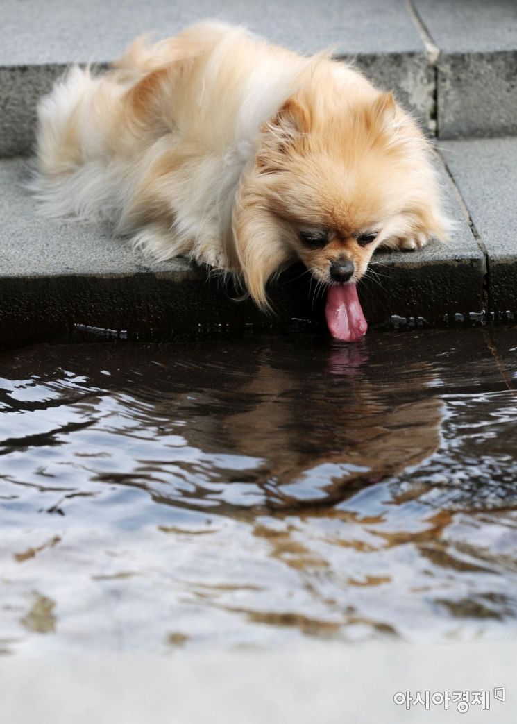 [포토]시원한 물 한 모금