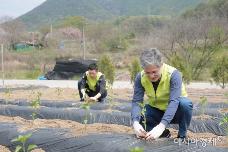 홍재은 NH농협생명 대표, 임직원과 농촌 일손돕기 나서