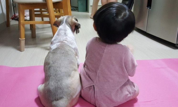 [이근형의 오독오독] 당신의 가족도 반려견도 행복하십니까