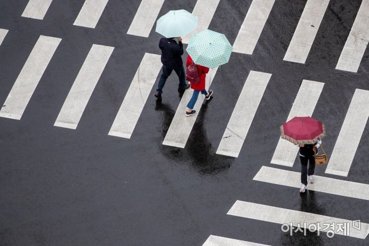 [포토]'촉촉한 봄비'
