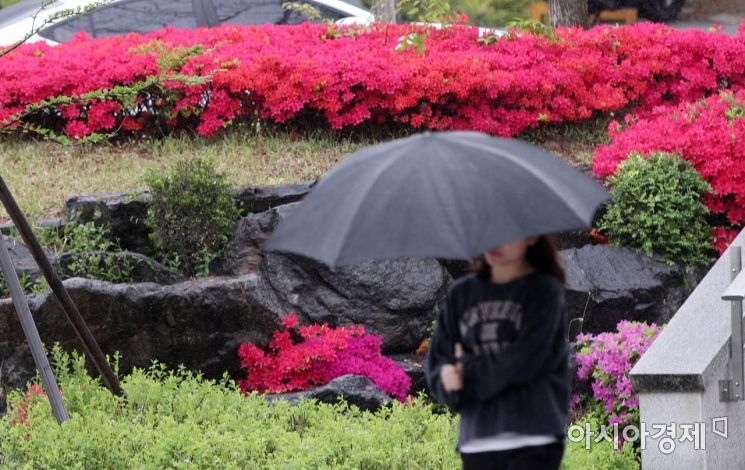봄비가 내린 25일 서울 신촌 연세대 교정에서 학생들이 우산을 쓴 채 발걸음을 재촉하고 있다./김현민 기자 kimhyun81@