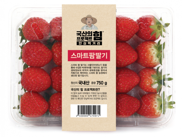 "수박·참외 저리가라"…최첨단 기술로 '여름 딸기' 잡는 유통업계(종합)