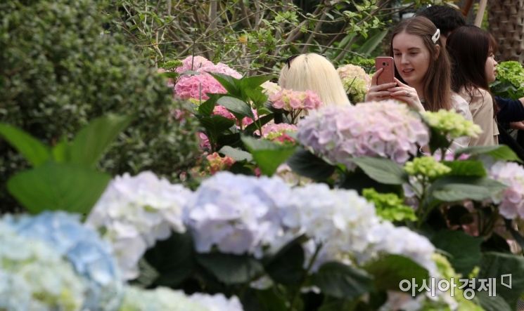 [포토] 서울식물원 찾은 관광객