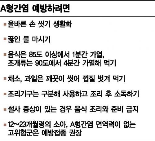 "30~40대 A형 간염에 취약…6개월 간격 2회 예방접종"