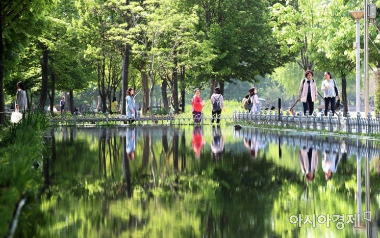 [포토]시원한 숲 속에서