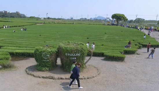 '40번째 봄 제주로부터' 오설록 제12회 햇차 페스티벌 성료