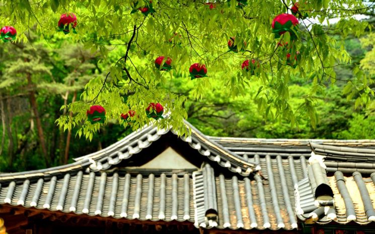 [조용준의 여행만리]번뇌 벗어나는 길, 마음이 열릴지니~