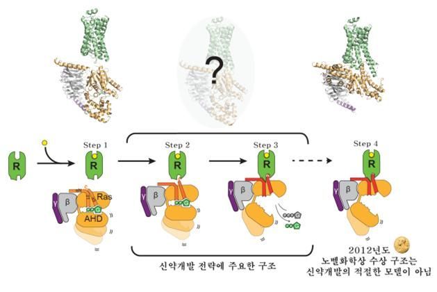 G단백질수용체가 G단백질을 활성화시키는 과정