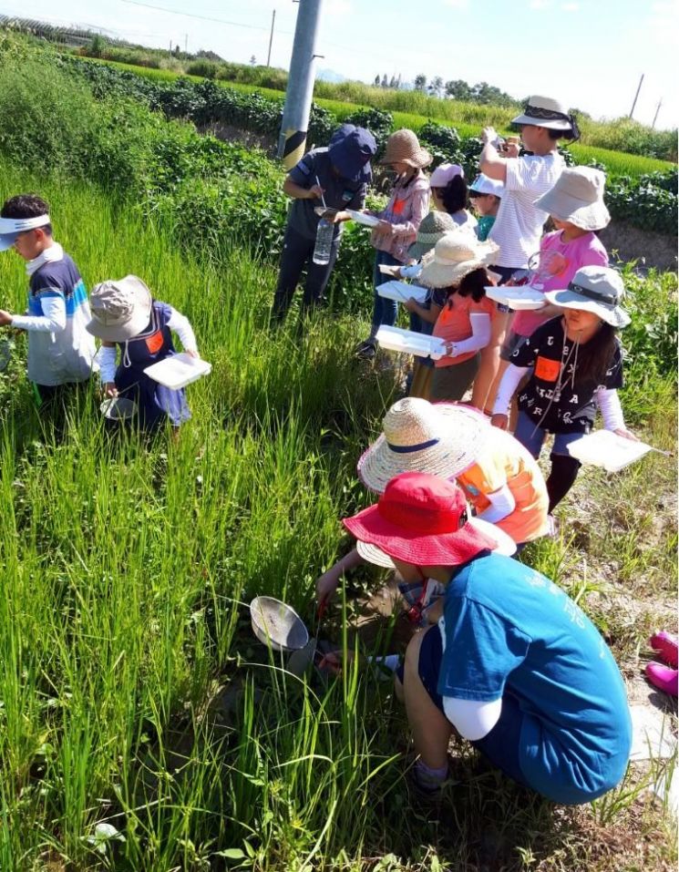 서울 강서구, 논 습지 활용한 ‘논살림 프로젝트‘ 사업 추진