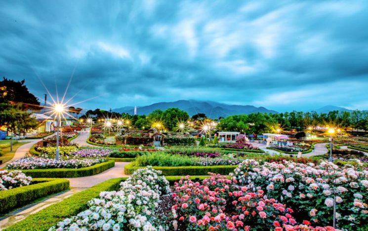[포토] 1004가지 색이 있는 곳, 곡성세계장미축제 개막