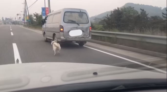 개를 차 뒤에 매단 채 질주하는 운전자 / 사진 = 페이스북 '동물자유연대' 영상 캡처