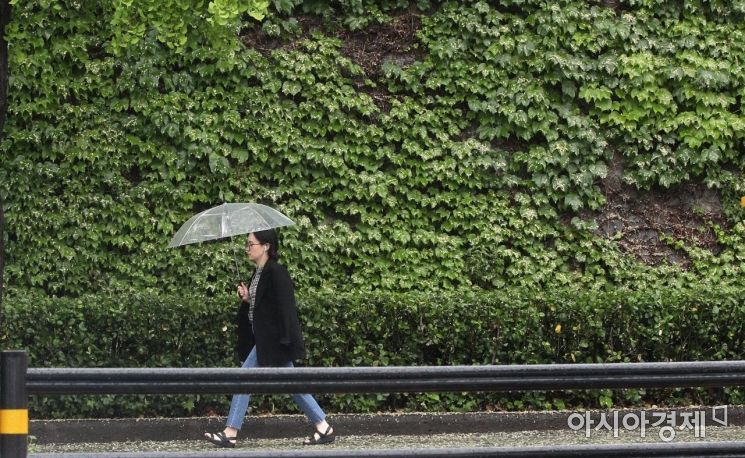 [포토] 촉촉히 내리는 5월의 봄비