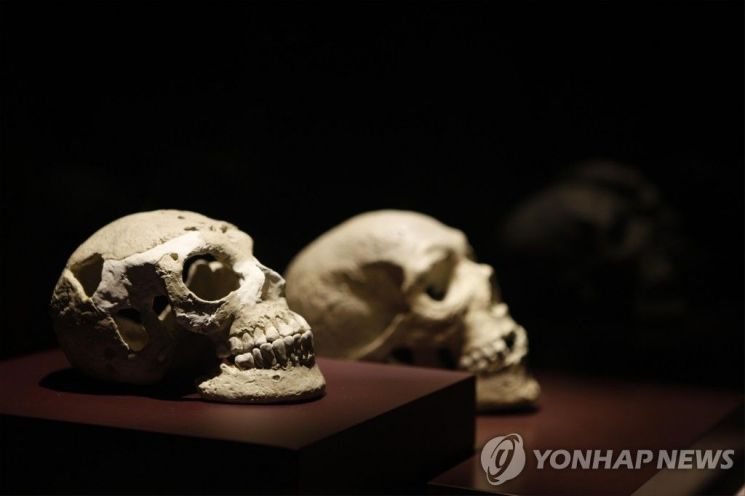 국립김해박물관, 가야사 문화권 학술 제전 개최